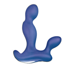 ANAL-ESE COLLECTION P-SPOT EXCITER