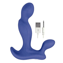 ANAL-ESE COLLECTION P-SPOT EXCITER