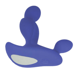 ANAL-ESE COLLECTION P-SPOT EXCITER